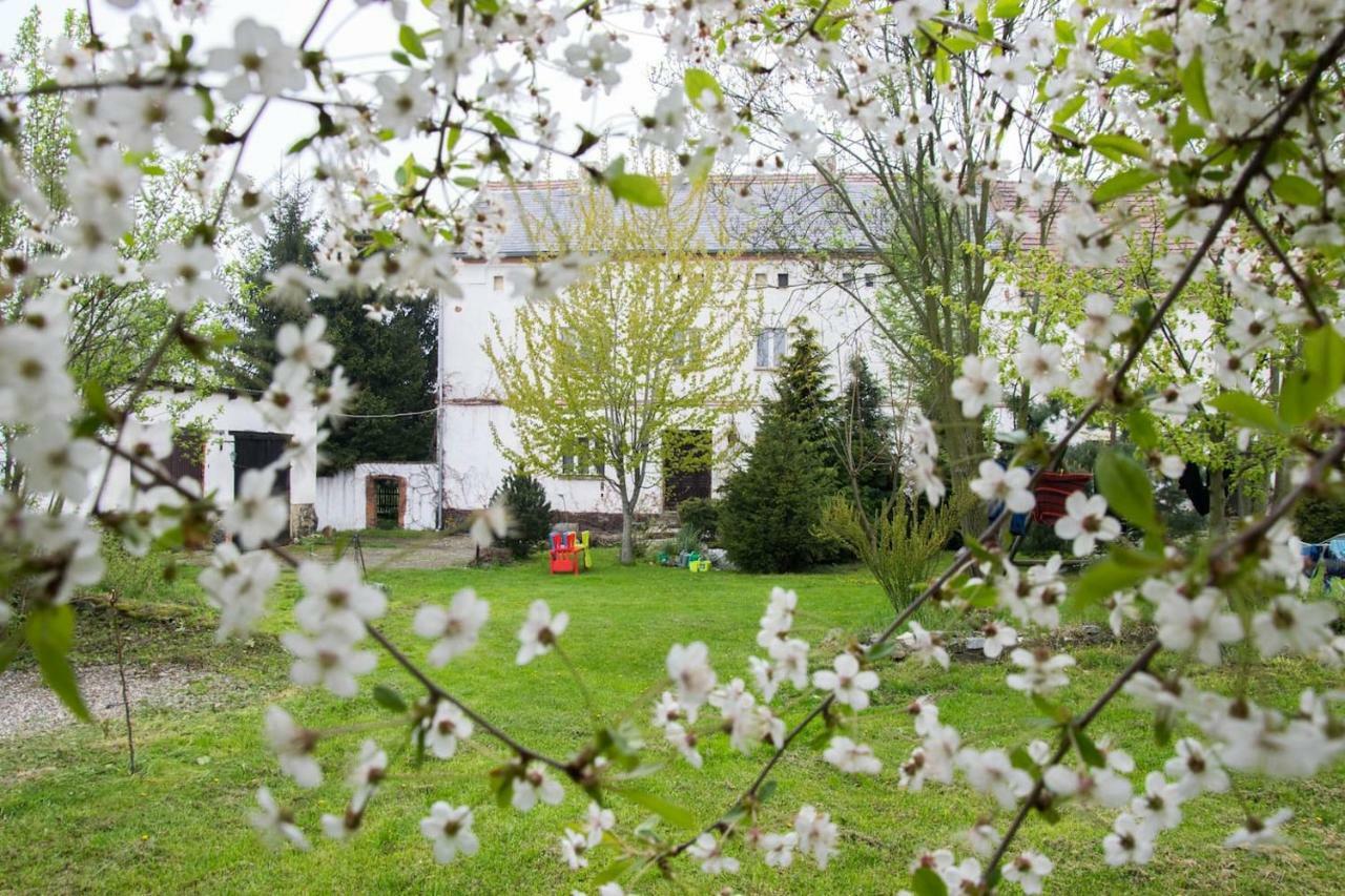 Gospodarstwo U Krakusa Doboszowice Exterior foto