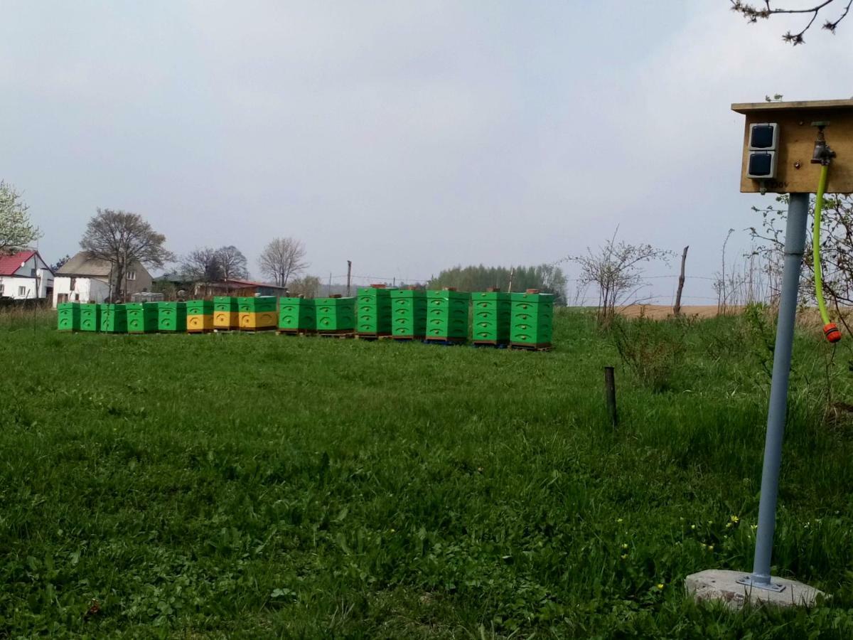 Gospodarstwo U Krakusa Doboszowice Exterior foto